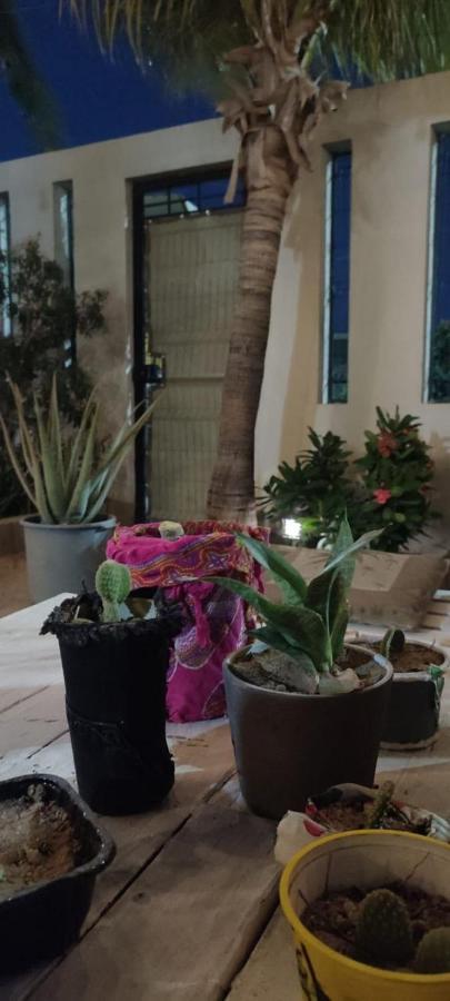 Cho Ku Rei Hostal San José del Cabo المظهر الخارجي الصورة