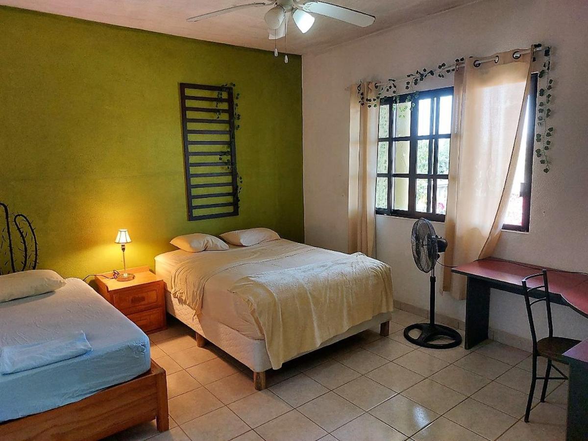 Cho Ku Rei Hostal San José del Cabo المظهر الخارجي الصورة
